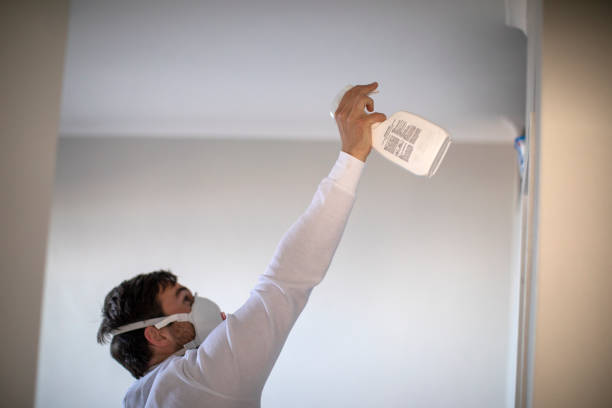 Best Mold Testing  in Dundee, MI