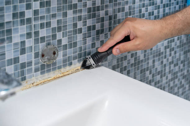 Best Mold Remediation Experts  in Dundee, MI