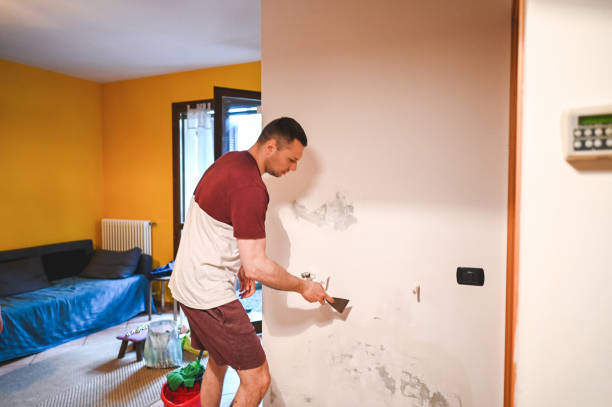 Best Professional Mold Removal  in Dundee, MI